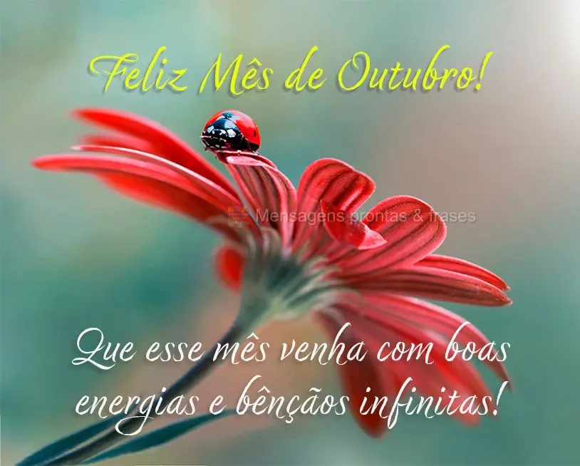 Que esse mês venha com boas energias e bênçãos infinitas! Feliz Mês de Outubro!