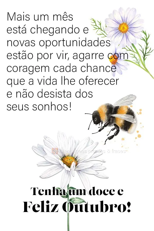 Mais um mês está chegando e novas oportunidades estão por vir, agarre com coragem cada chance que a vida lhe oferecer e não desista dos seus sonhos! ...