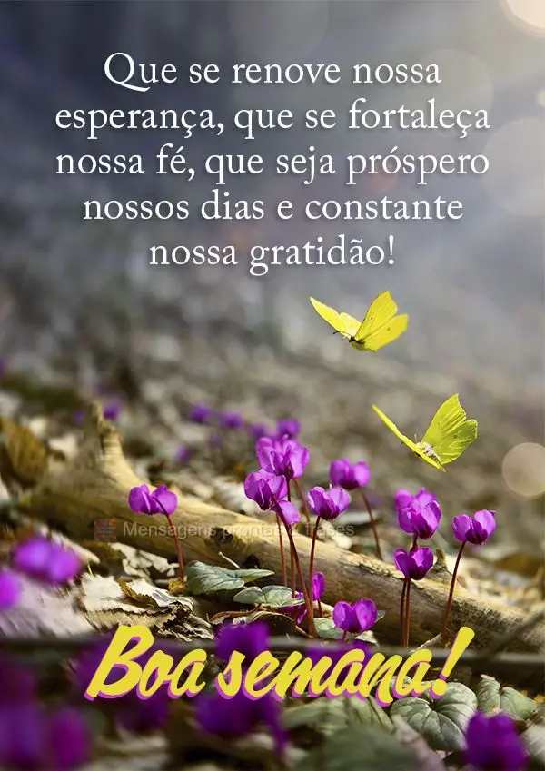 Que se renove nossa esperança, que se fortaleça nossa fé, que sejam prósperos nossos dias e constante nossa gratidão! Boa semana! 