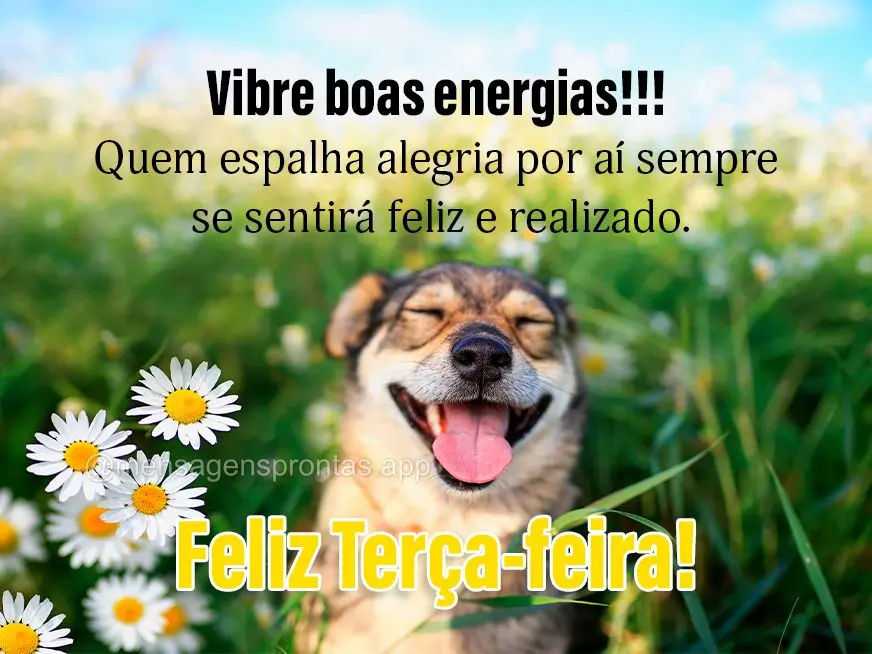 Vibre boas energias!!! Quem espalha alegria por aí sempre se sentirá feliz e realizado. Feliz Terça-feira! 