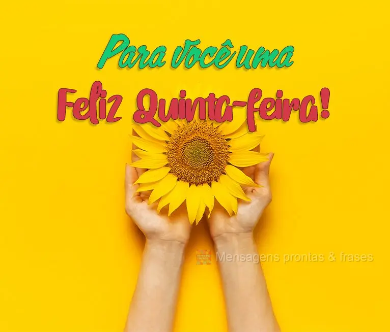 Para você uma  Feliz Quinta-feira!