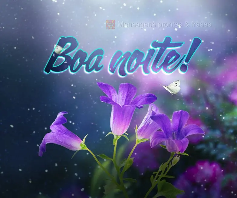Boa noite!