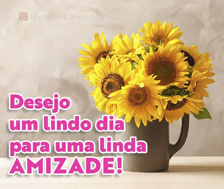 Desejo um lindo dia para uma linda amizade!