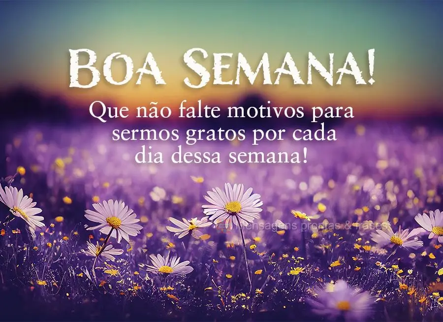 Que não falte motivos para sermos gratos por cada dia dessa semana! Boa semana!