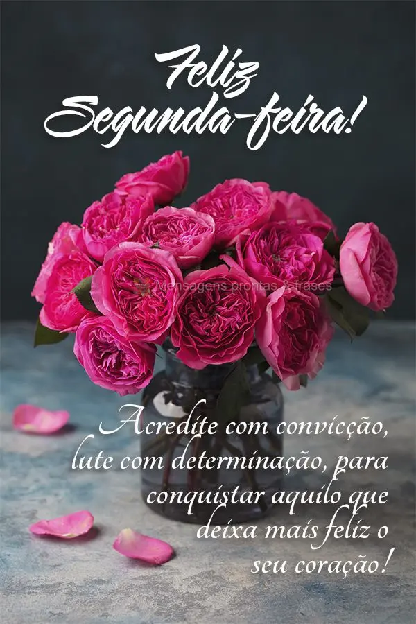 Acredite com convicção, lute com determinação, para conquistar aquilo que deixa mais feliz o seu coração! Feliz Segunda-feira! 