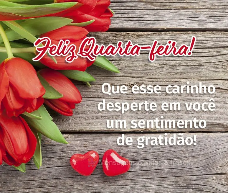 Que esse carinho desperte em você um sentimento de gratidão! Feliz Quarta-feira! 