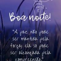 “A paz não pode ser mantida pela força; ela só pode ser alcançada pela compreensão.” Boa noite!  Albert Einstein