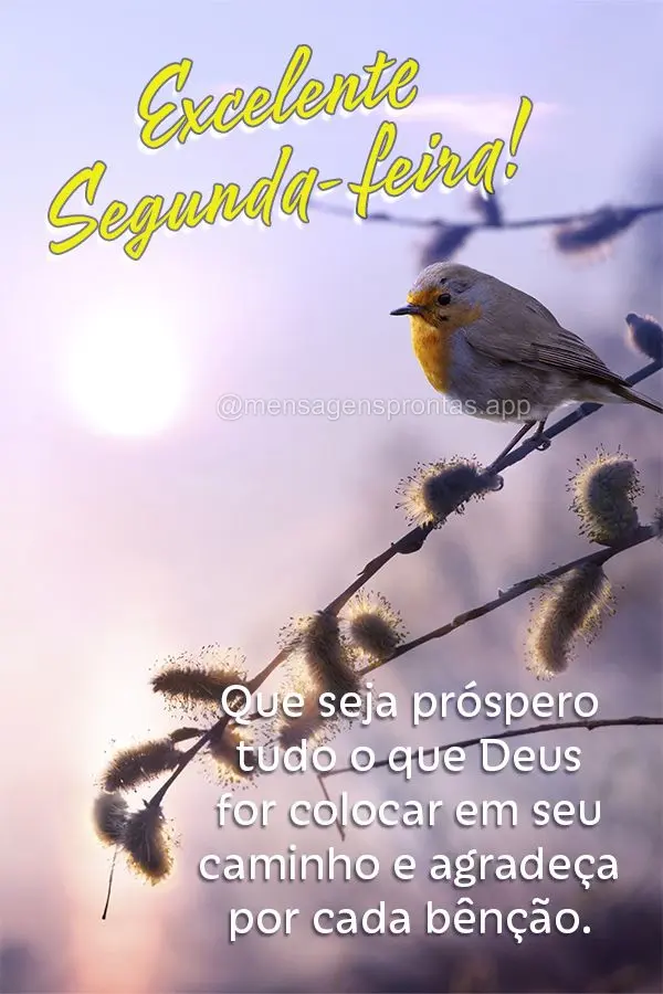 Que seja próspero tudo o que Deus for colocar em seu caminho e agradeça por cada bênção. Excelente Segunda-feira!