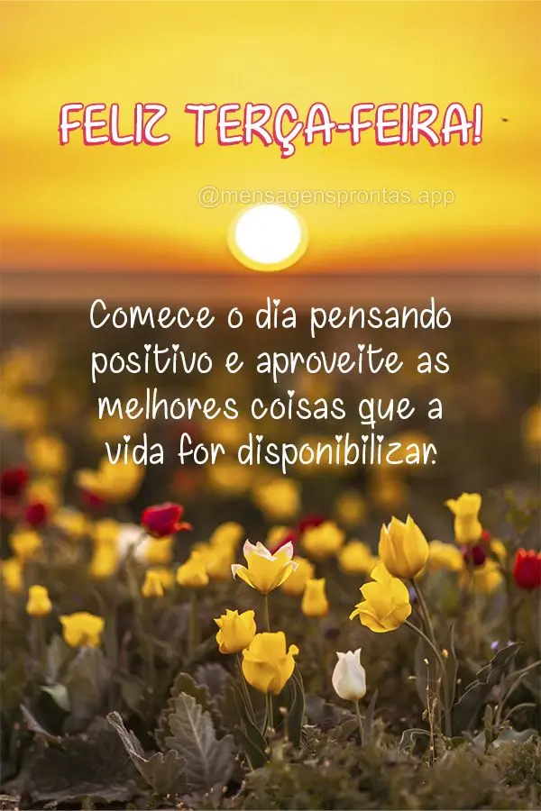 Comece o dia pensando positivo e aproveite as melhores coisas que a vida for disponibilizar. Feliz Terça-feira!