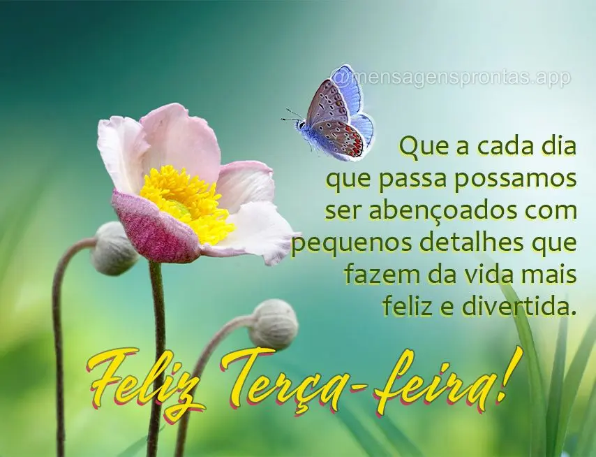 Que a cada dia que passa possamos ser abençoados com pequenos detalhes que fazem da vida mais feliz e divertida. Feliz Terça-feira! 