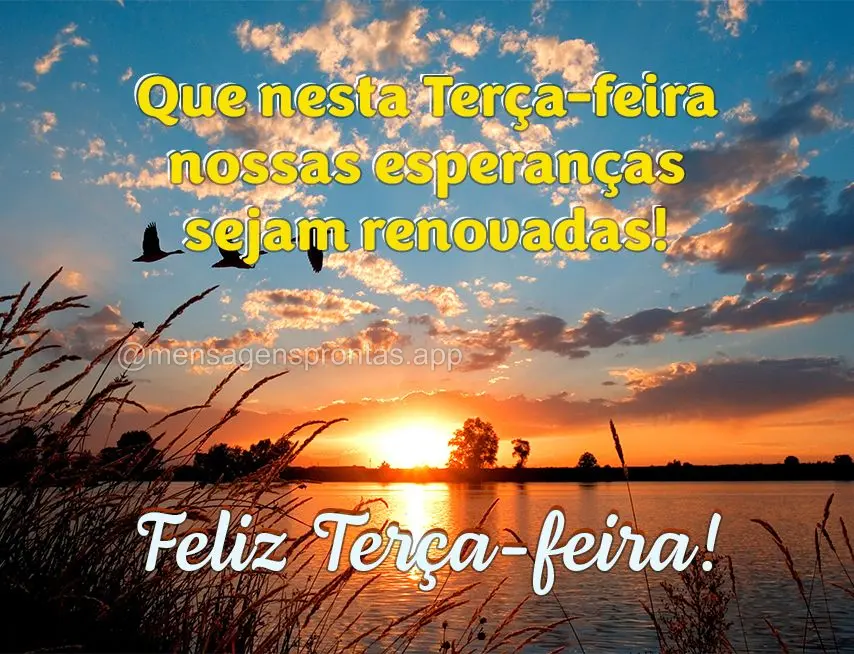 Que nesta Terça-feira nossas esperanças sejam renovadas!  Feliz Terça-feira!