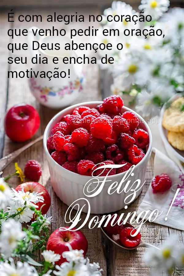 É com alegria no coração que venho pedir em oração, que Deus abençoe o seu dia e encha de motivação! Feliz Domingo!