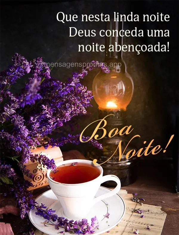 Que nesta linda noite Deus conceda uma noite abençoada! Boa noite!