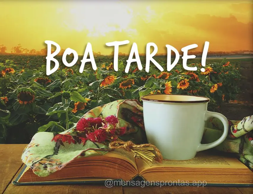 Boa tarde!