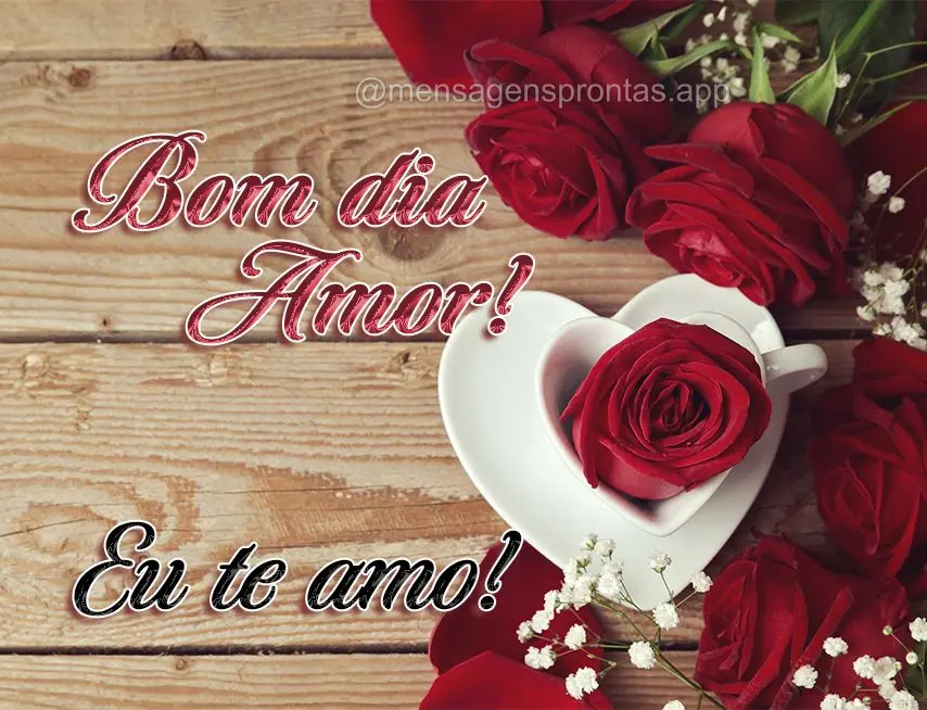 Bom dia amor!  Eu te amo!