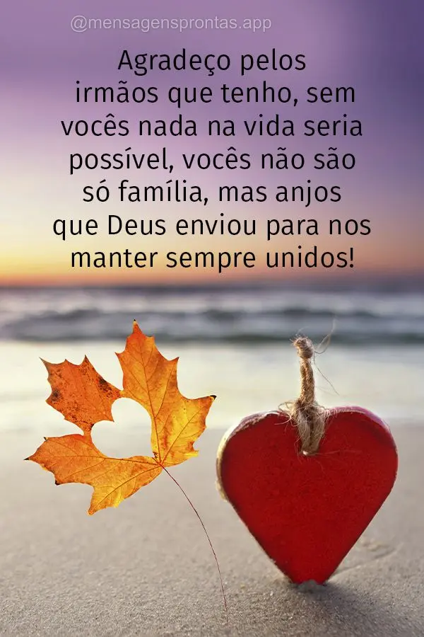 Agradeço pelos irmãos que tenho, sem vocês nada na vida seria possível, vocês não são só família, mas anjos que Deus enviou para nos manter semp...