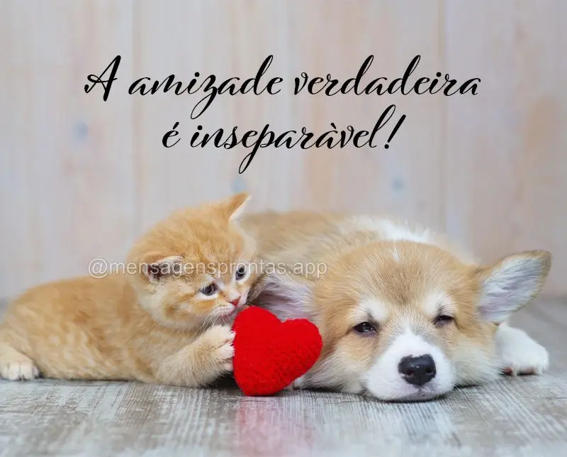 A amizade verdadeira é inseparável!