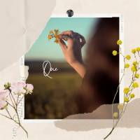 Que reine a paz em seu dia! Bom dia!