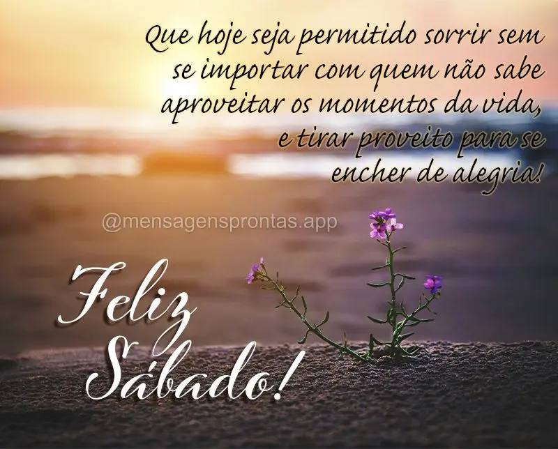 Que hoje seja permitido sorrir sem se importar com quem não sabe aproveitar os momentos da vida, e tirar proveito para se encher de alegria! Feliz Sába...