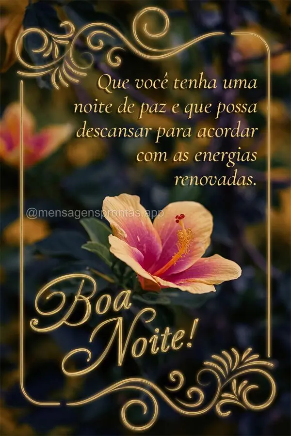 Que você tenha uma noite de paz e que possa descansar para acordar com as energias renovadas. Boa noite!