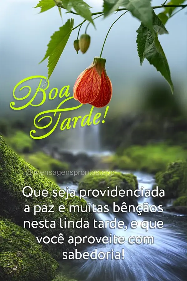 Que seja providenciada a paz e muitas bênçãos nesta linda tarde, e que você aproveite com sabedoria! Boa tarde!