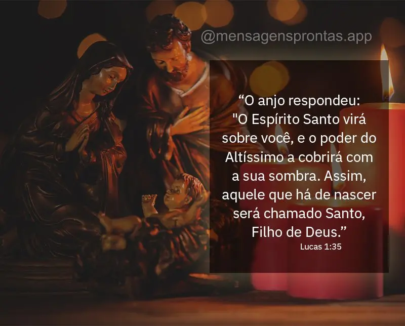 “O anjo respondeu: "O Espírito Santo virá sobre você, e o poder do Altíssimo a cobrirá com a sua sombra. Assim, aquele que há de nascer será cha...