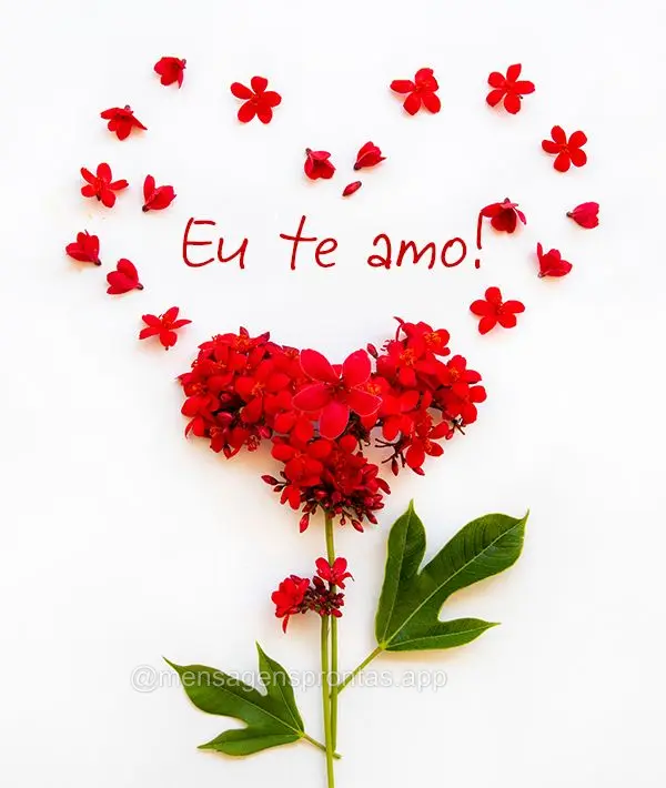 Eu te amo!