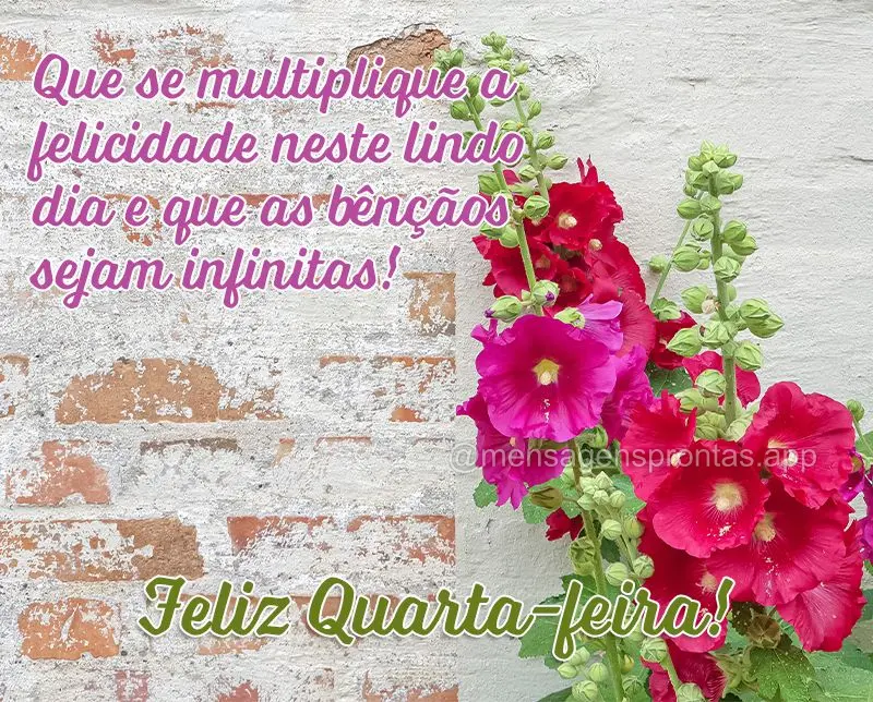 Que se multiplique a felicidade neste lindo dia e que as bênçãos sejam infinitas! Feliz Quarta-feira!