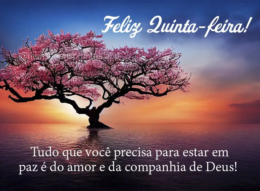 Tudo que você precisa para estar em paz é do amor e da companhia de Deus! Feliz Quinta-feira!