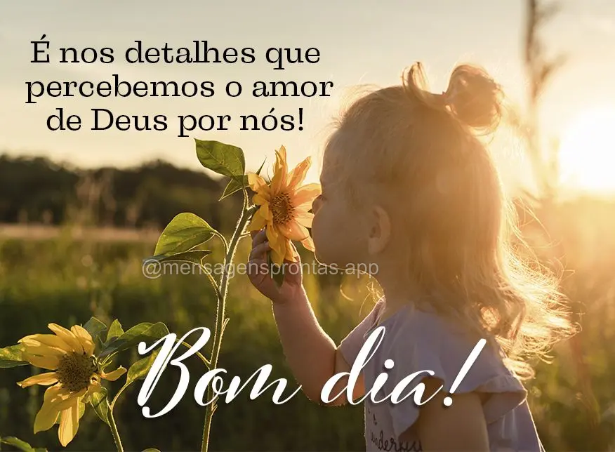 É nos detalhes que percebemos o amor de Deus por nós!  Bom dia!