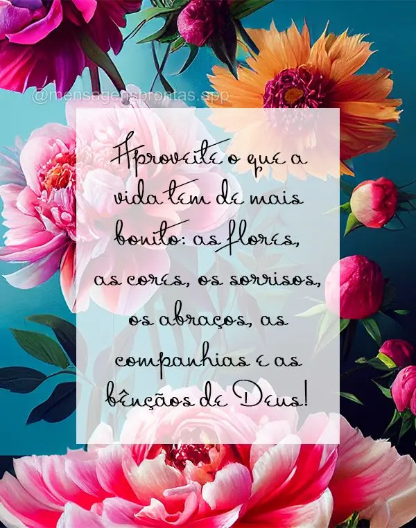 Aproveite o que a vida tem de mais bonito: as flores, as cores, os sorrisos, os abraços, as companhias e as bênçãos de Deus!