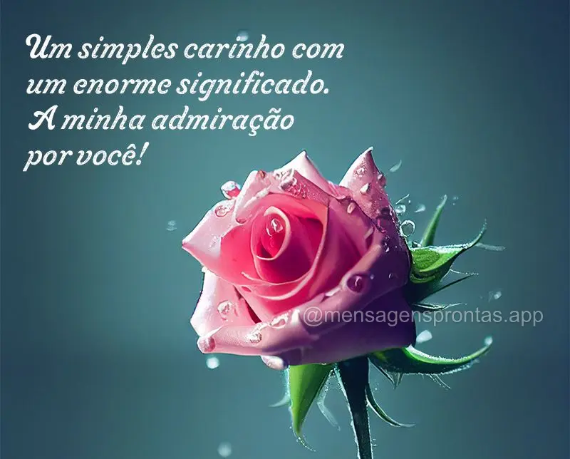 Um simples carinho com um enorme significado. A minha admiração por você!