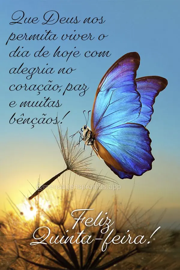 Que Deus nos permita viver o dia de hoje com alegria no coração, paz e muitas bênçãos! Feliz Quinta-feira! 