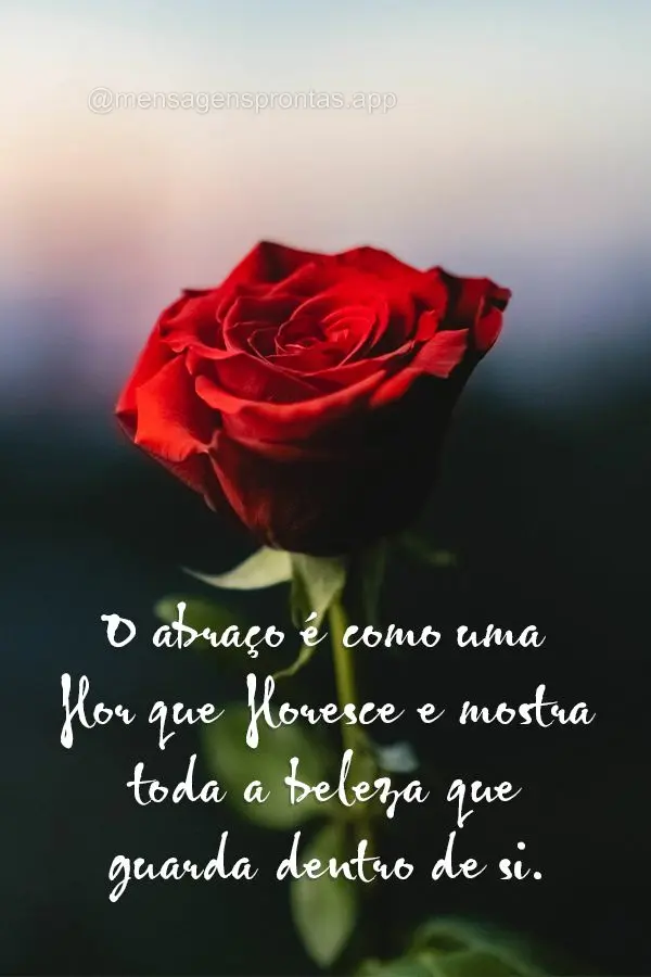 O abraço é como uma flor que floresce e mostra toda a beleza que guarda dentro de si.