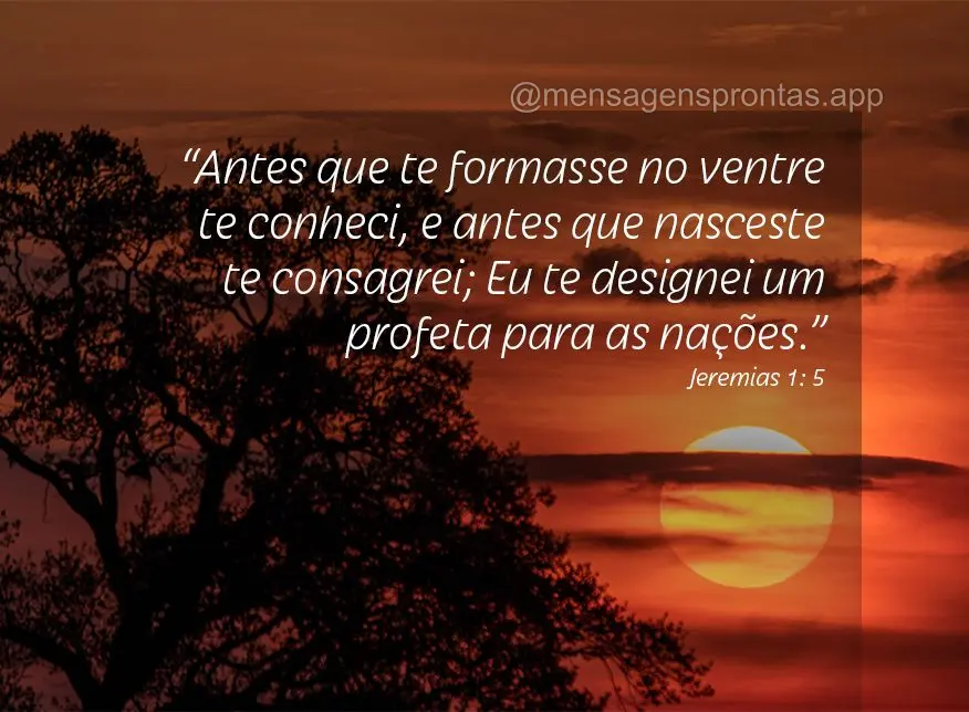 “Antes que te formasse no ventre te conheci, e antes que nasceste te consagrei; Eu te designei um profeta para as nações.” Jeremias 1: 5