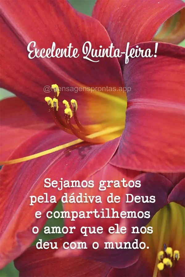 Sejamos gratos pela dádiva de Deus e compartilhemos o amor que ele nos deu com o mundo. Excelente Quinta-feira!