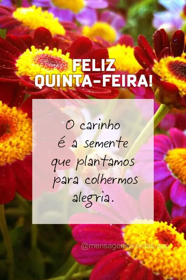 O carinho é a semente que plantamos para colhermos alegria. Feliz Quinta-feira!