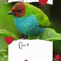 Que possamos aproveitar este dia abençoado com gratidão. Bom dia!