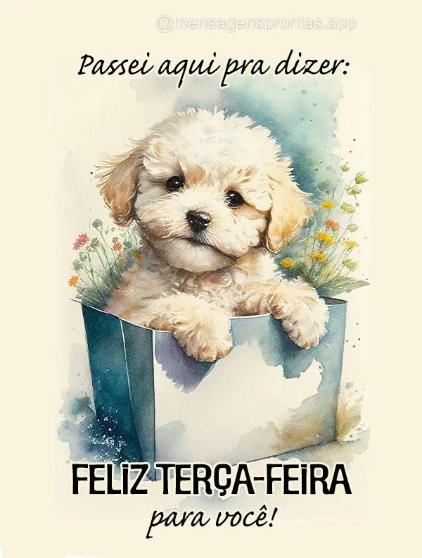 Passei aqui pra dizer: Feliz Terça-feira para você!