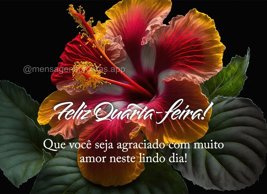 Que você seja agraciado com muito amor neste lindo dia! Feliz Quarta-feira!