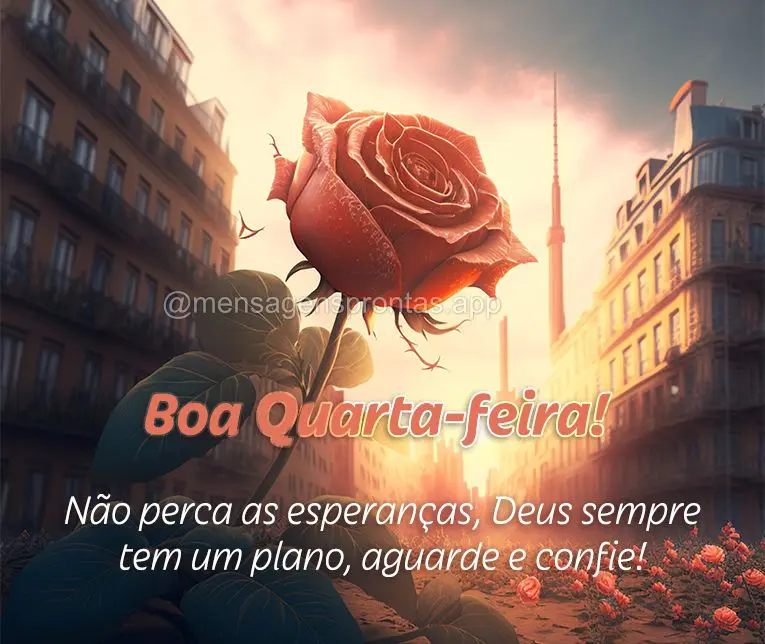 Não perca as esperanças, Deus sempre tem um plano, espere e confie!  Boa Quarta-feira!