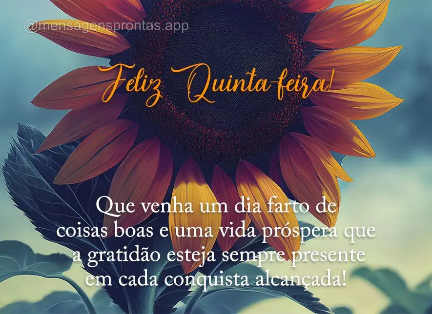 Que venha um dia farto de coisas boas e uma vida próspera que a gratidão esteja sempre presente em cada conquista alcançada! Feliz Quinta-feira!