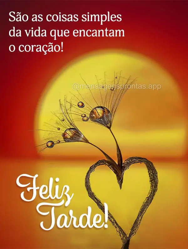 São as coisas simples da vida que encantam o coração! Feliz tarde!