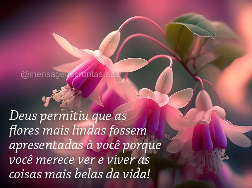 Deus permitiu que as flores mais lindas fossem apresentadas à você porque você merece ver e viver as coisas mais belas da vida!