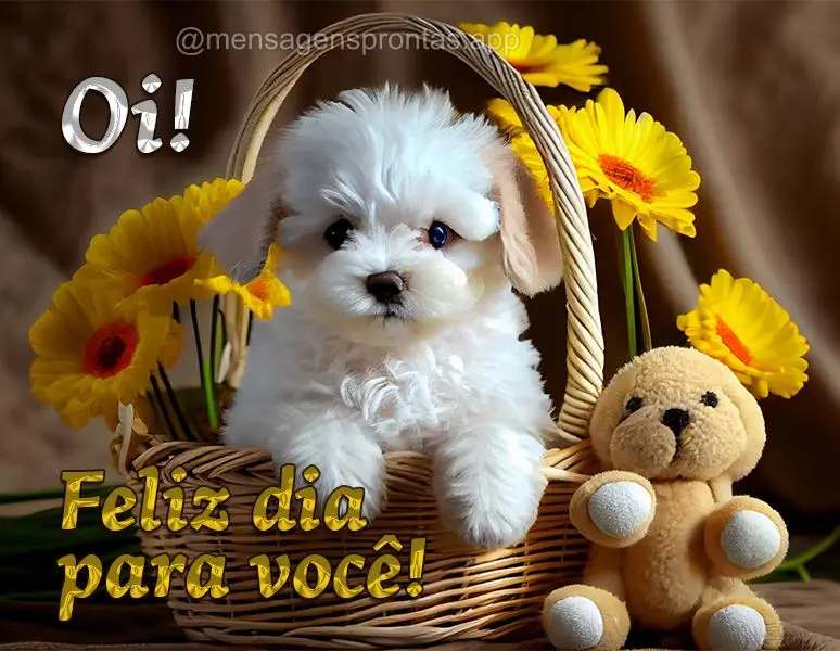 Oi! Feliz dia para você!