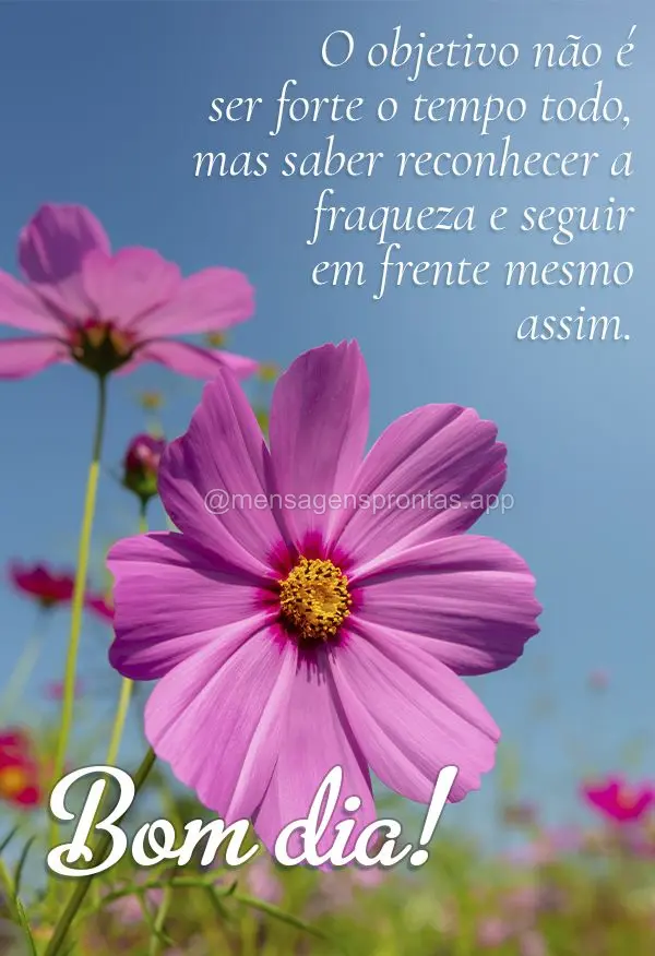 Mensagens prontas & Frases para status (Novos) - Página 5