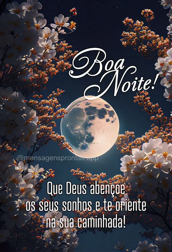 Que Deus abençoe os seus sonhos e te oriente na sua caminhada! Boa noite!