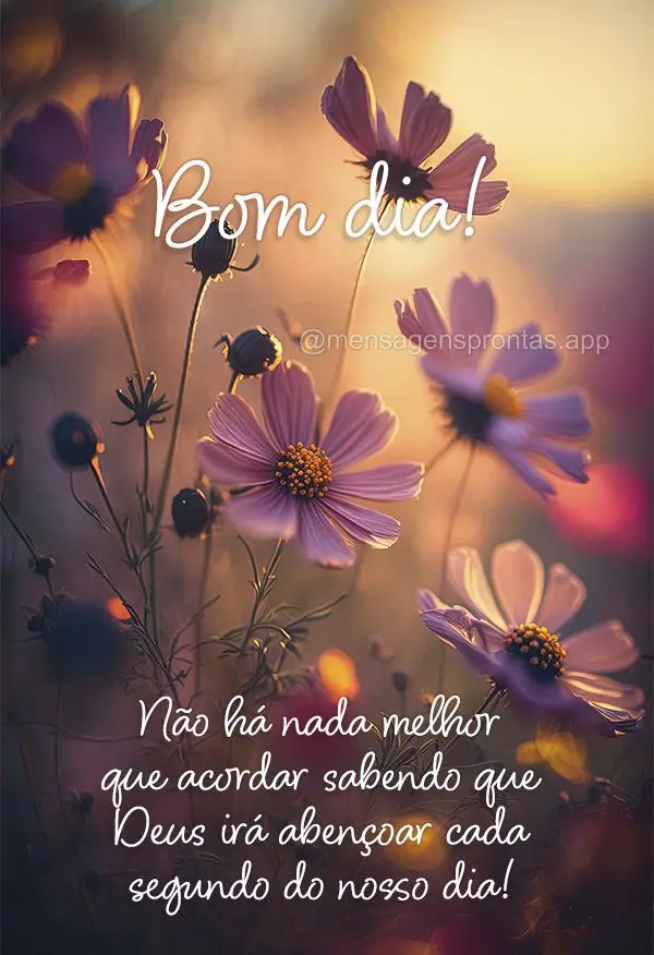 Bom dia! sabendo que Deus irá abençoar cada segundo do nosso dia! Bom dia! 