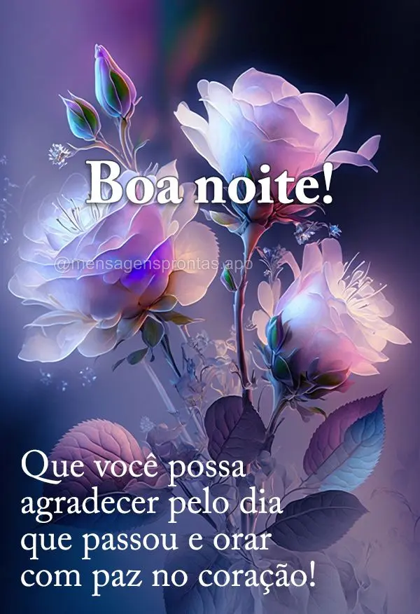 Que você possa agradecer pelo dia que passou e orar com paz no coração! Boa noite!