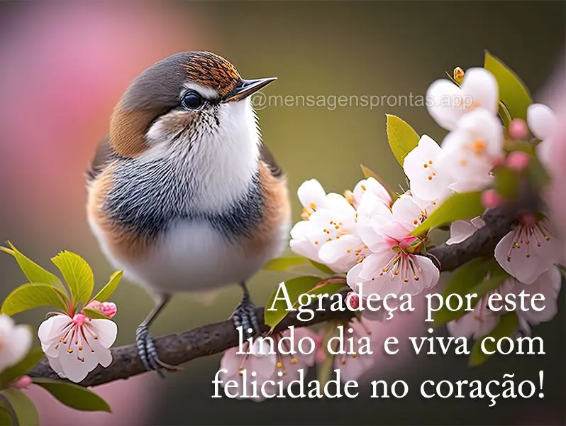 Agradeça por este lindo dia e viva com felicidade no coração!